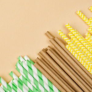 Paper Cup Manufacturer in Delhi untitled design (100)